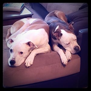 Meet your Posher, Ron